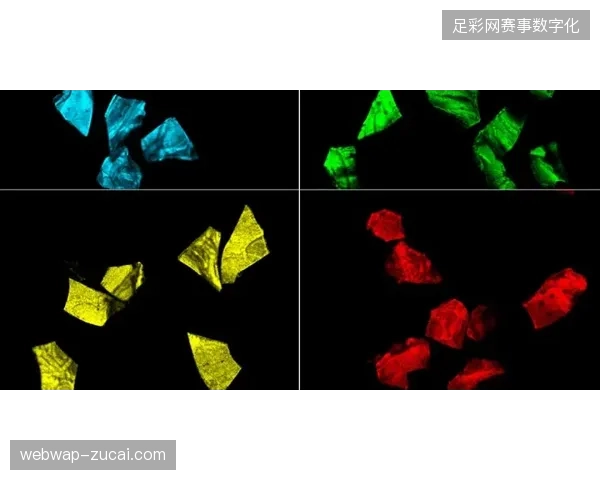 北美赛区赛事版权保护机制如何通过动态数字指纹完成秒级监测 北美赛区赛事版权保护机制如何通过动态数字指纹完成秒级监测